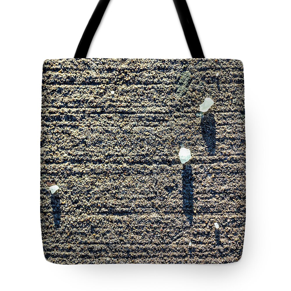 Concrete Tote Bag featuring the photograph Sidewalk Salt by Amelia Pearn