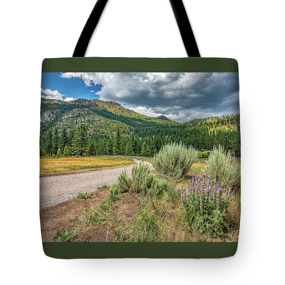 Scenic Landscape Tote Bag featuring the photograph Storms Building in the Sierra Nevada by Ron Long Ltd Photography