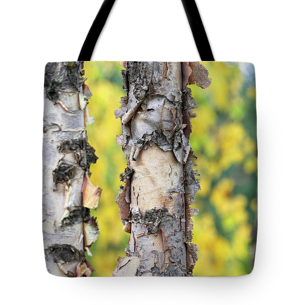 Fall Tote Bag featuring the photograph Signs of Fall by Mary Anne Delgado