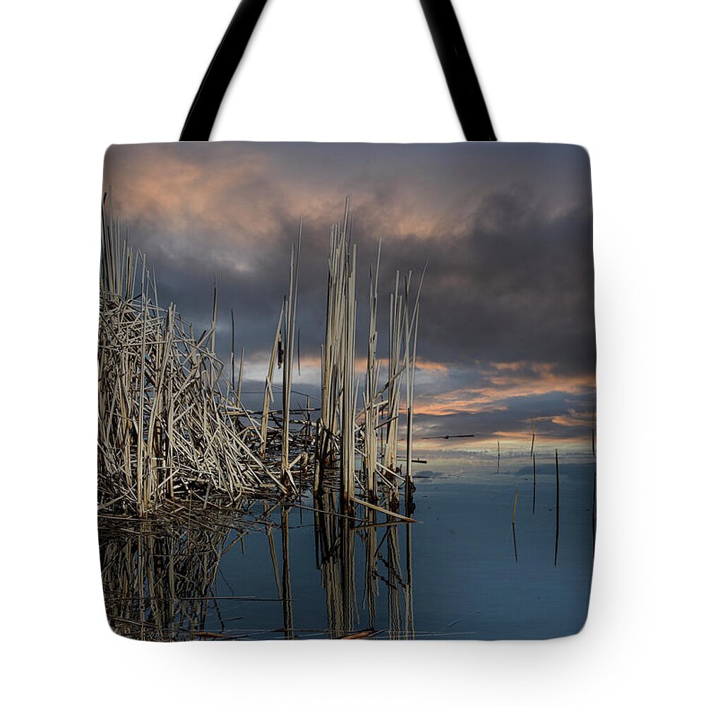 Photography Tote Bag featuring the photograph Silence And Solitary By The Riverside Jurmala Latvia / Special Feature in Camera Art Group by Aleksandrs Drozdovs