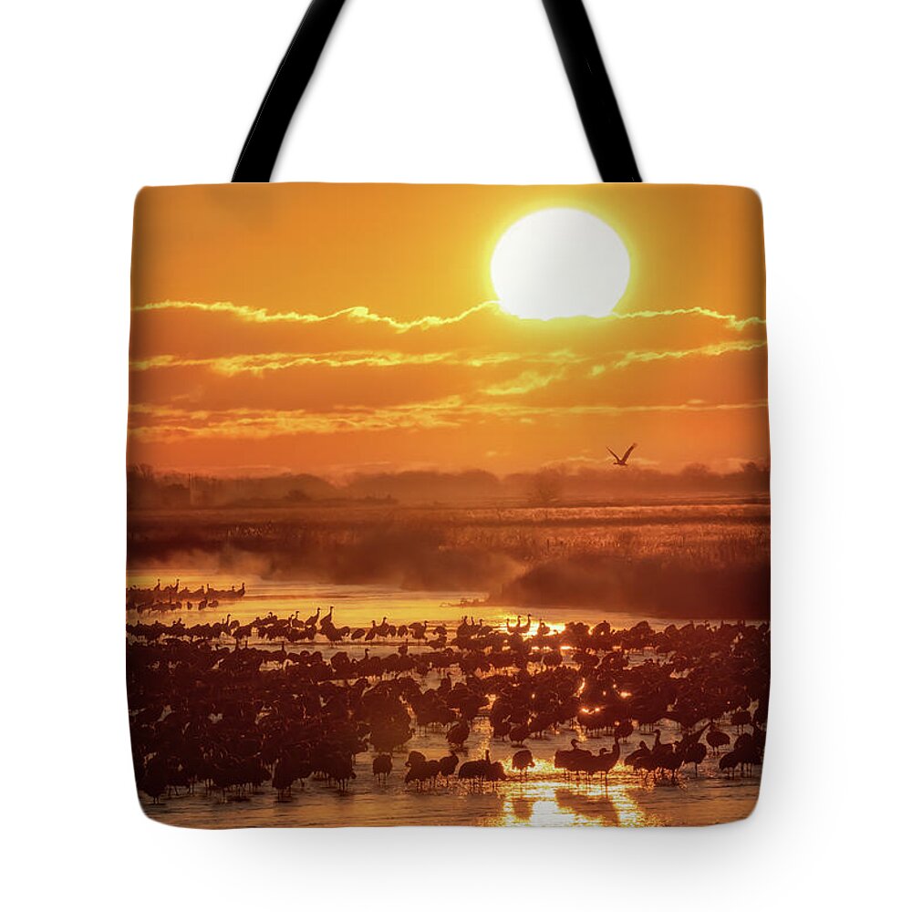 Sandhill Cranes Tote Bag featuring the photograph Silhouettes Upon the Platte by Susan Rissi Tregoning