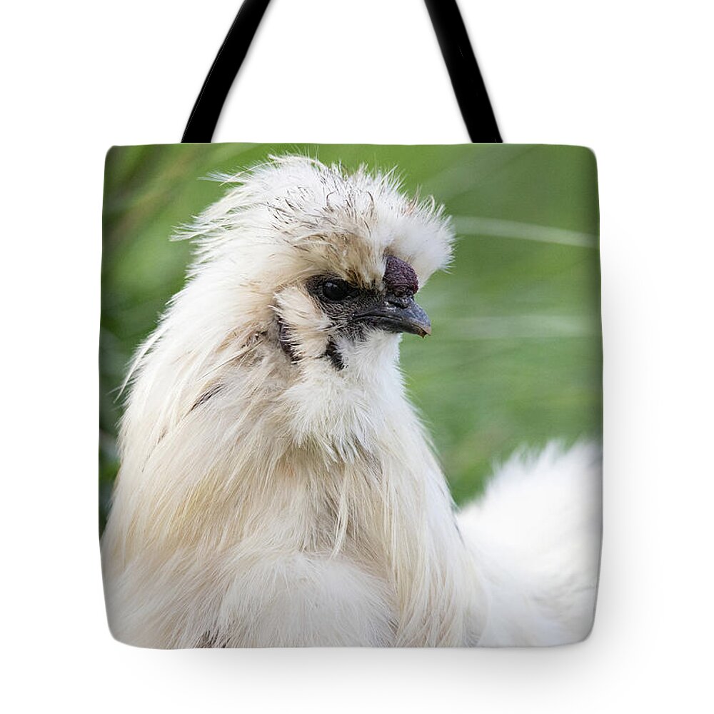 Silkie Tote Bag featuring the photograph Silkie Rooster Portrait by Jeannette Hunt
