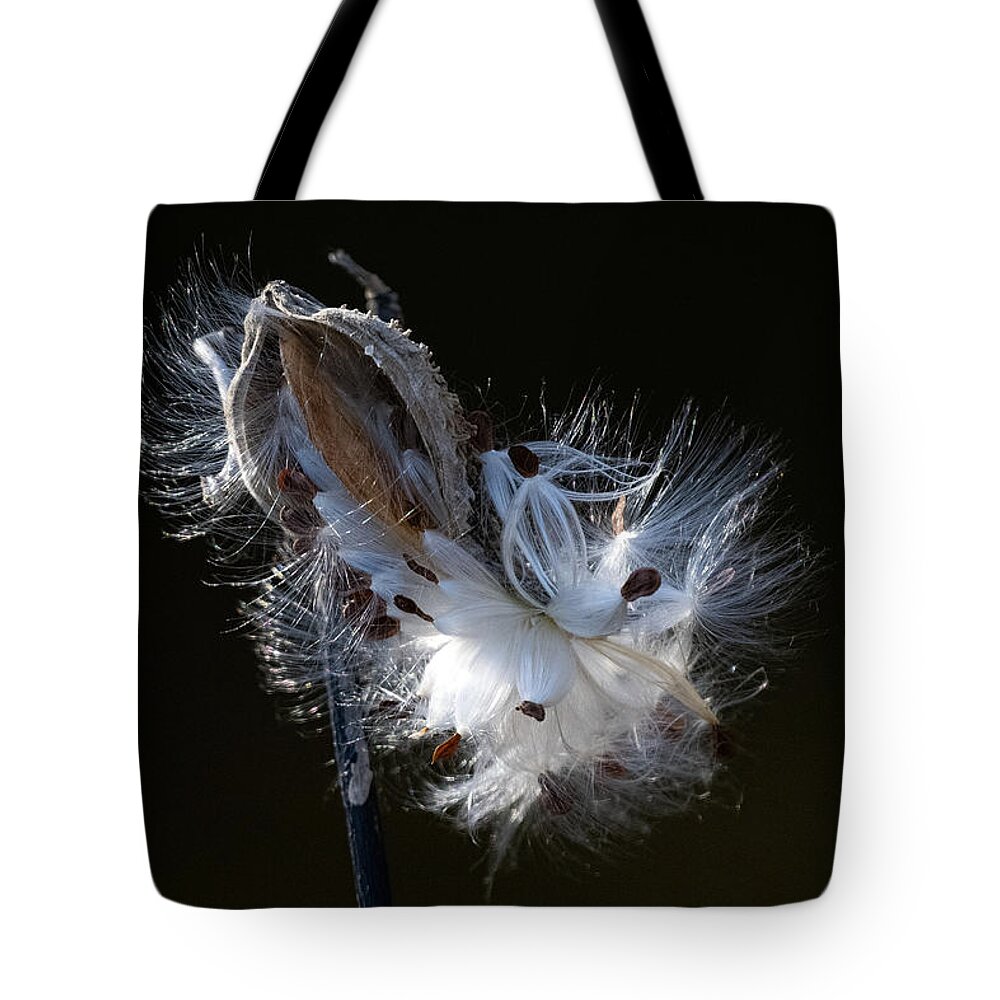 Milkweed Tote Bag featuring the photograph Silky Seed Carriers by Linda Bonaccorsi
