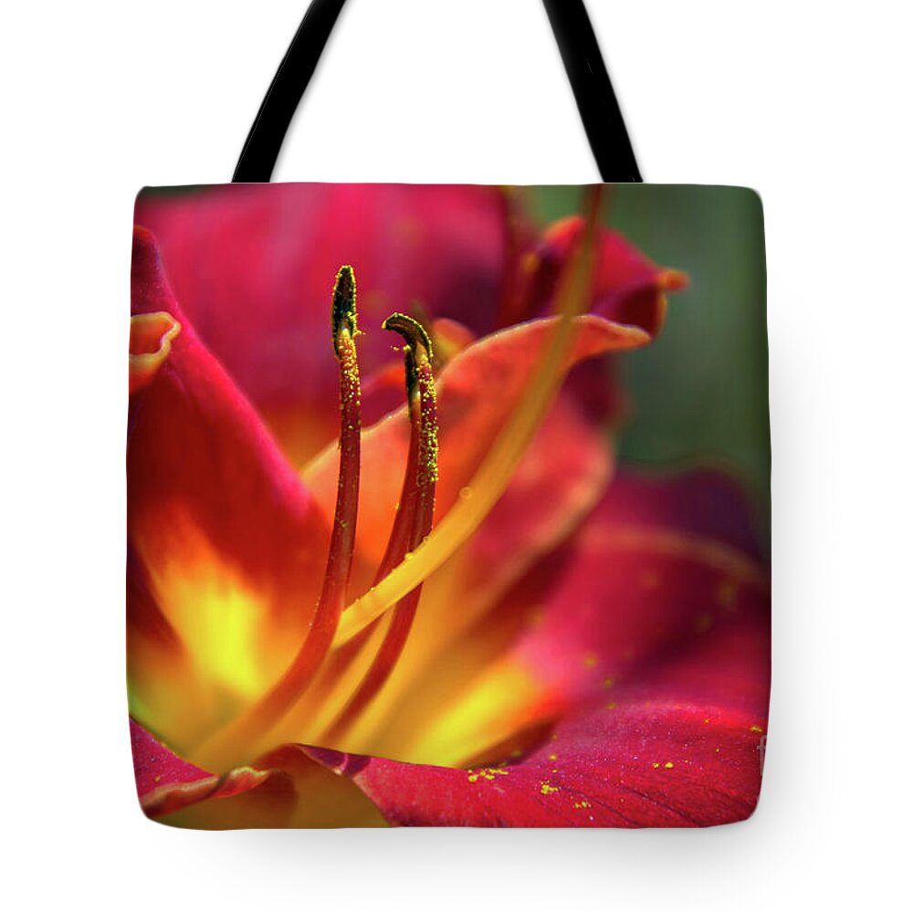 Red Tote Bag featuring the photograph Silky Smooth and Dreamy by Amy Dundon