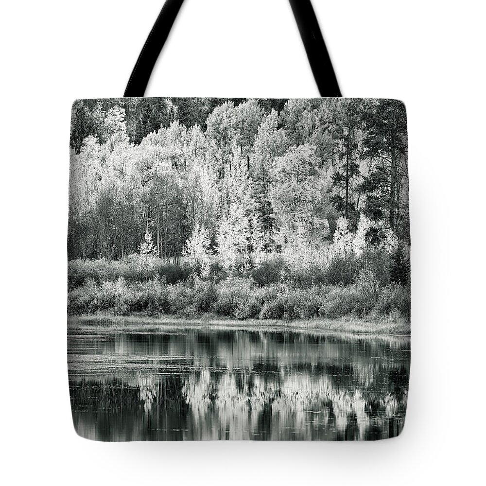 Gtnp Tote Bag featuring the photograph Silver reflections by Doug Wittrock