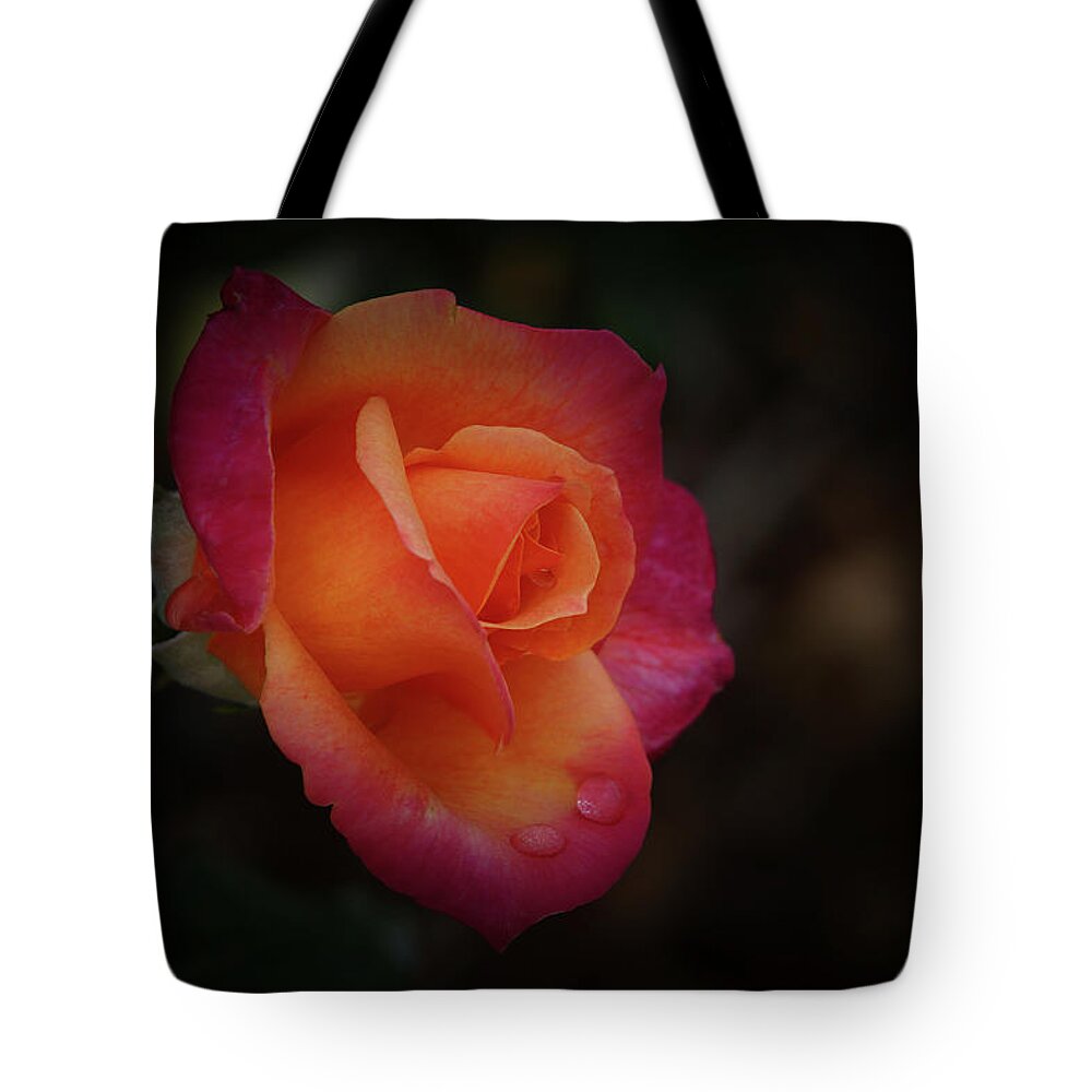 Rose Tote Bag featuring the photograph Simple Beauty by Ernest Echols