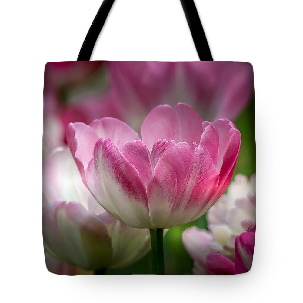 Tulip Tote Bag featuring the photograph Simple Beauty Tulips by Susan Rydberg