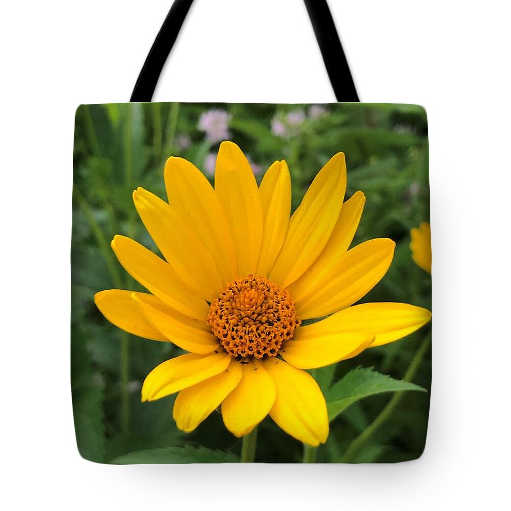 Yellow Daisy Tote Bag featuring the photograph Simple Yellow Daisy by Rachelle Stracke