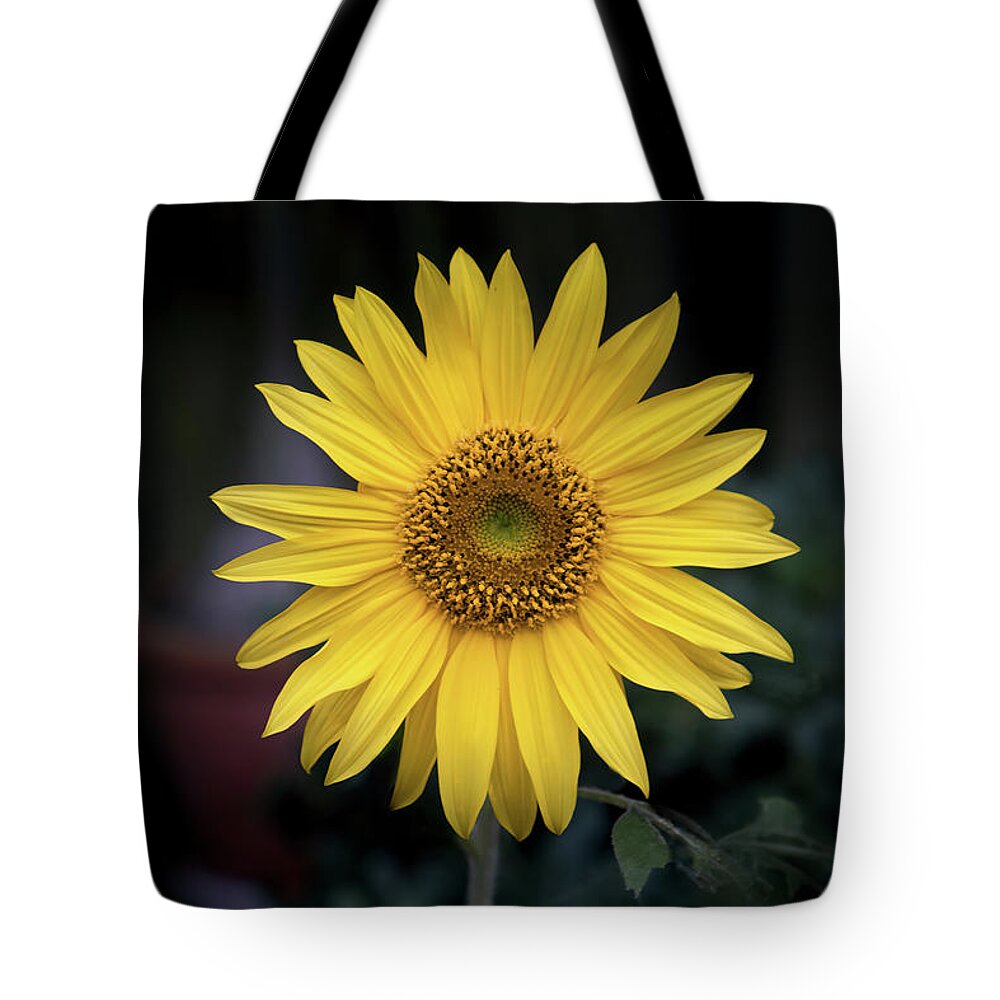 Photography Tote Bag featuring the digital art Simply Elegant Sunflower by Terry Davis