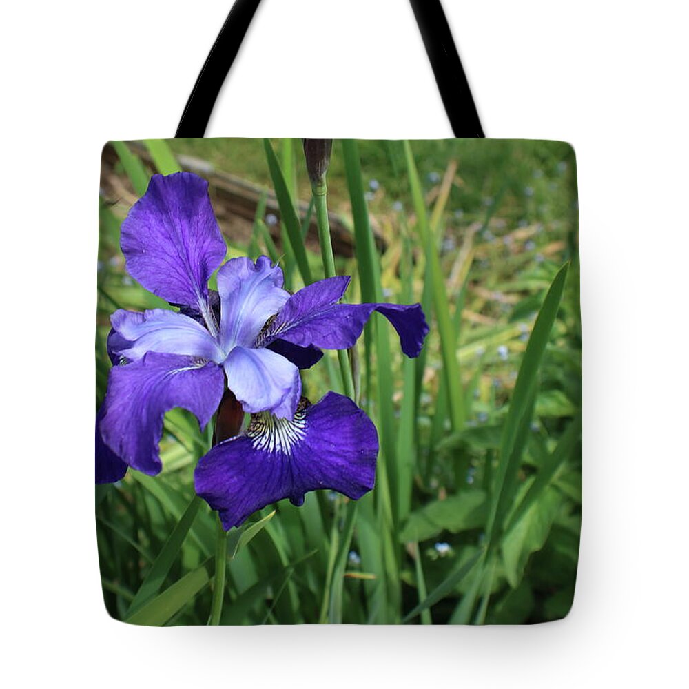 Iris Tote Bag featuring the photograph Simply Iris by Kenneth Pope