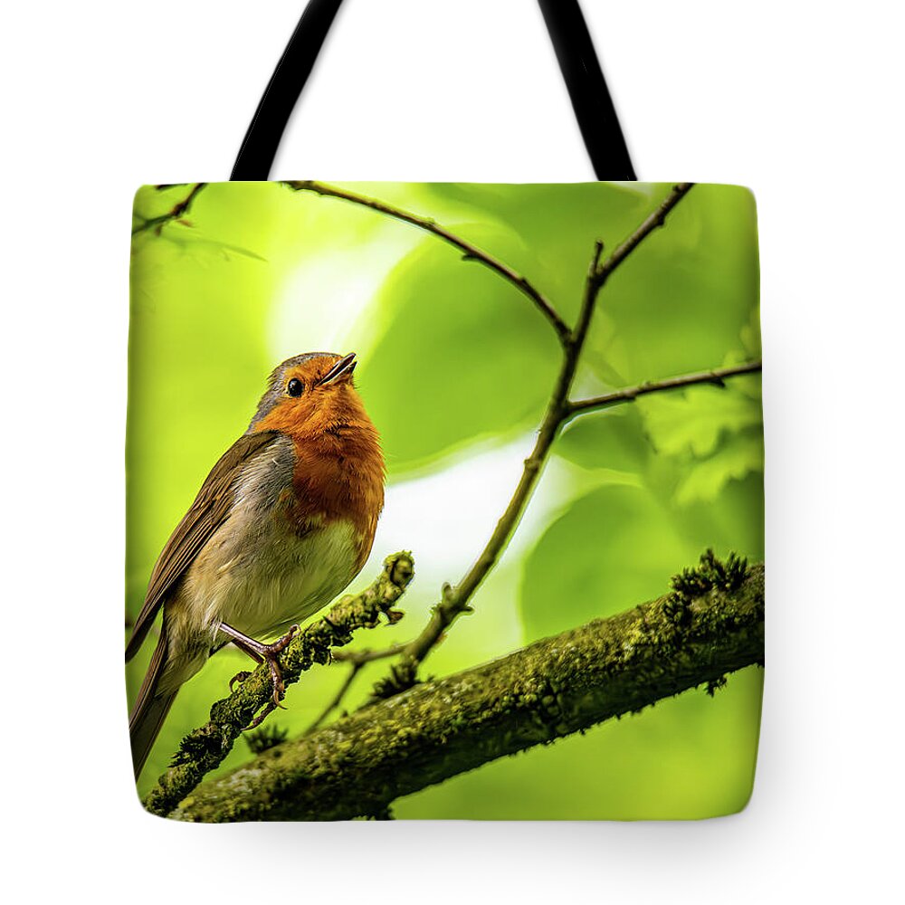 Robin Tote Bag featuring the photograph Singing Robin by Rainer Kersten