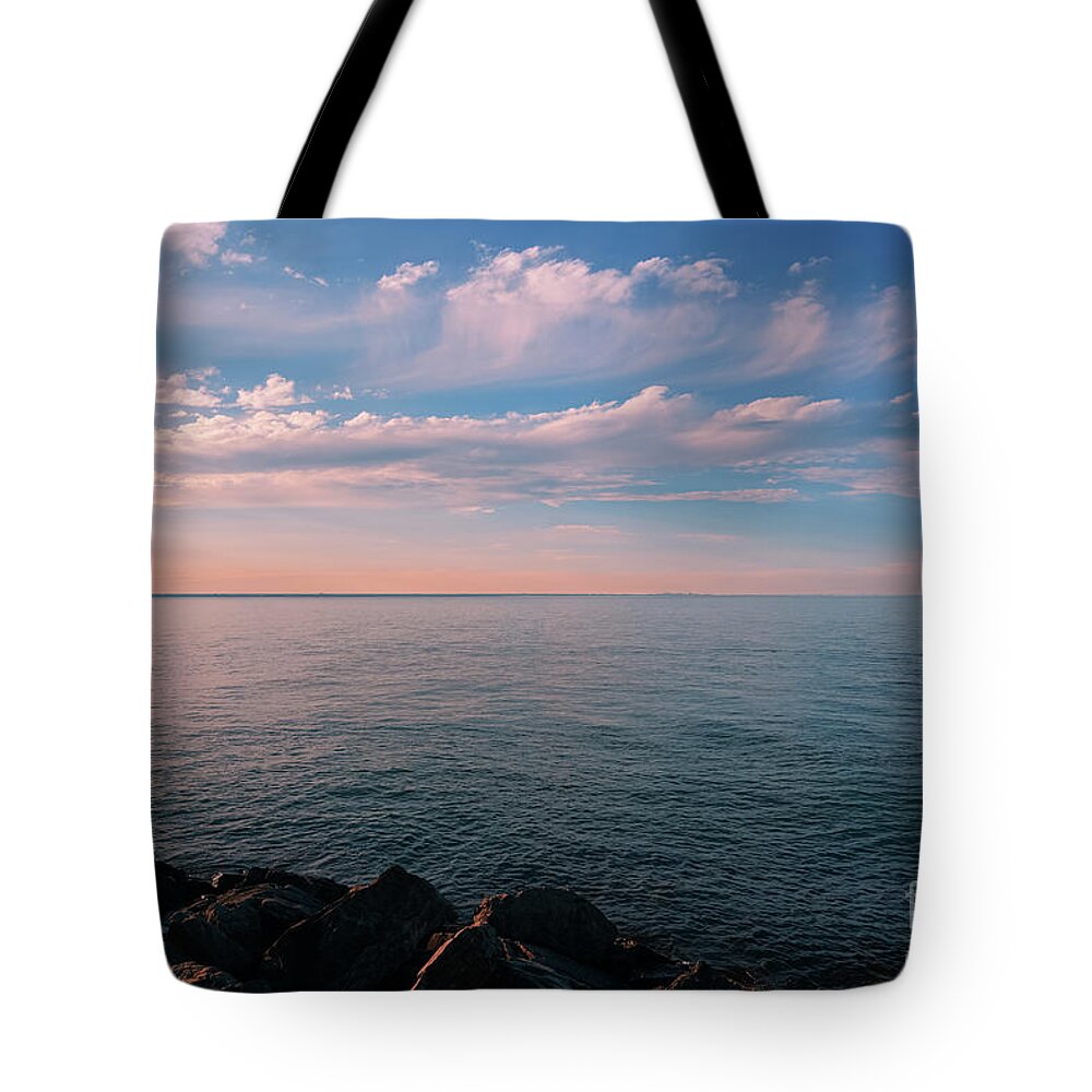 Singing The Blues With Peach Tote Bag featuring the photograph Singing the Blues with Peach 2 by Rachel Cohen