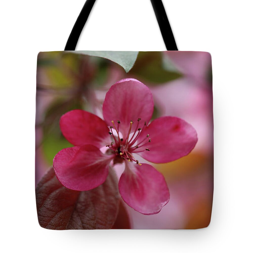 Pink Tote Bag featuring the photograph Single Pink Flower by Scott Burd