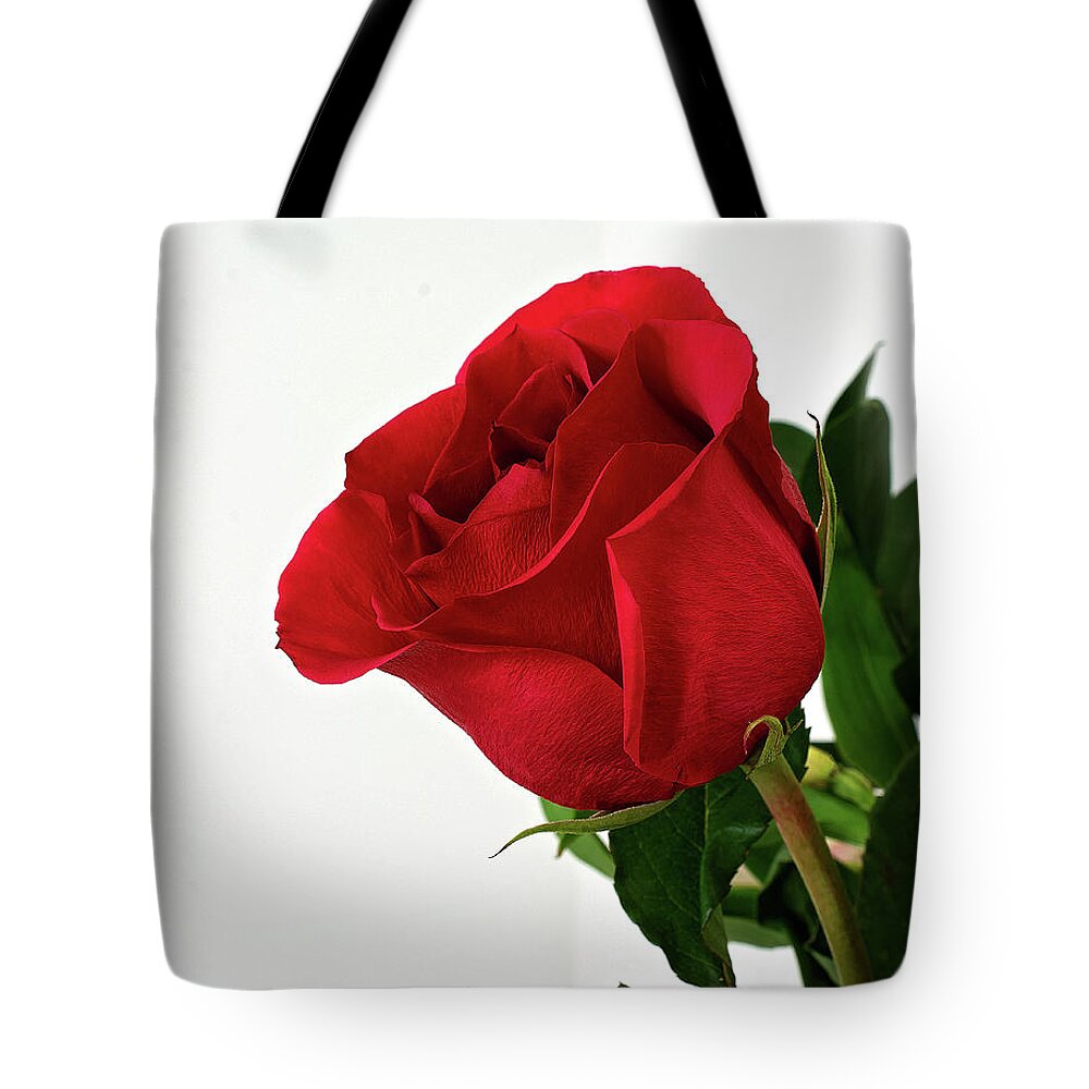 Single Red Rose Wall Art Tote Bag featuring the photograph Single Red Rose by Gwen Gibson