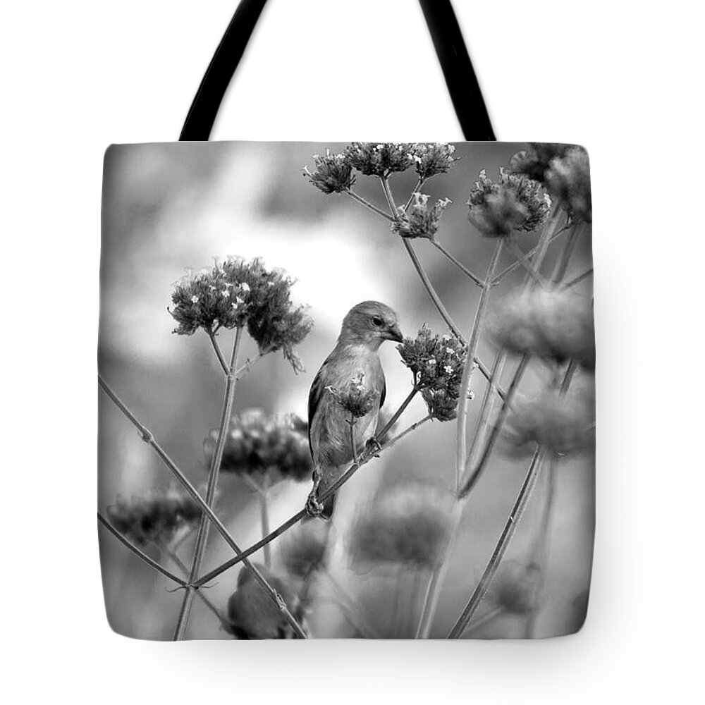 Bird Tote Bag featuring the photograph Sipping Nectar by Gina Cinardo