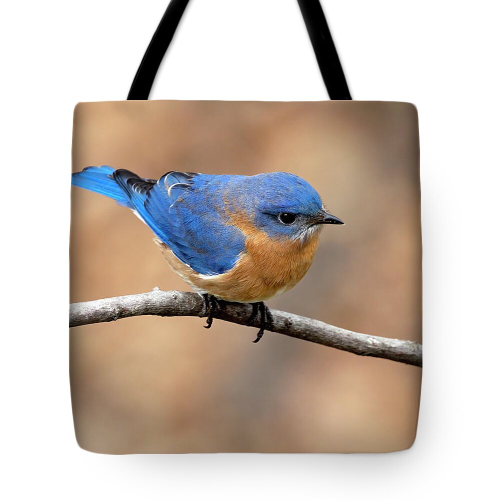 Bird Tote Bag featuring the photograph Sir Blue by Art Cole