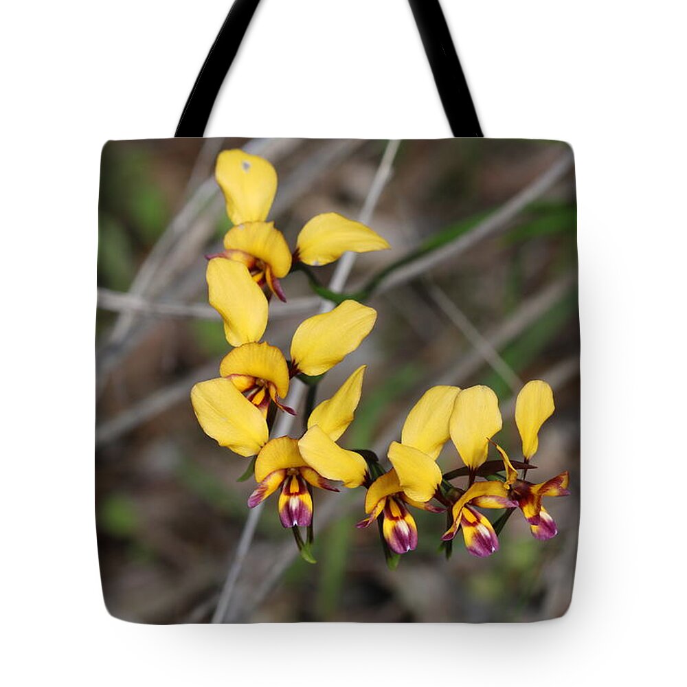 Diuris Tote Bag featuring the photograph Six Little Donkey Orchid Heads by Michaela Perryman