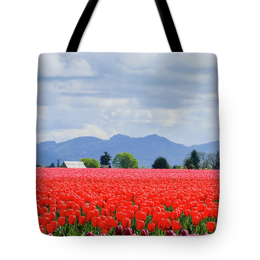 Western Washington State Tote Bag featuring the photograph Skagit Valley Tulip Farm by E Faithe Lester