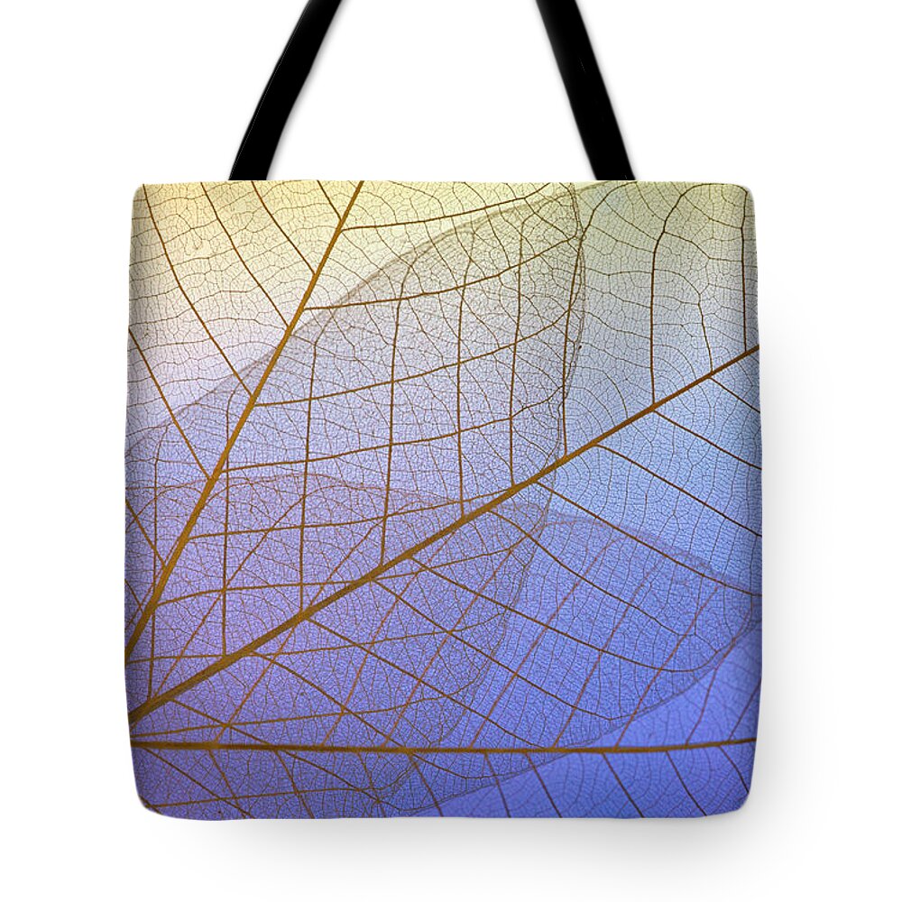 Plant Tote Bag featuring the photograph Skeleton Leaves in Blues by Evie Carrier