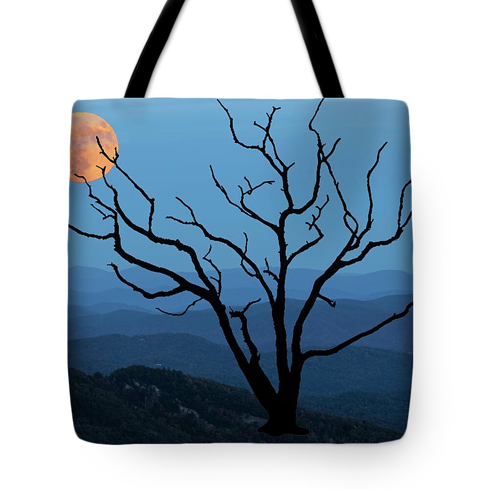 Skeleton Tree Tote Bag featuring the photograph Skeleton Tree Moon 02 by Jim Dollar