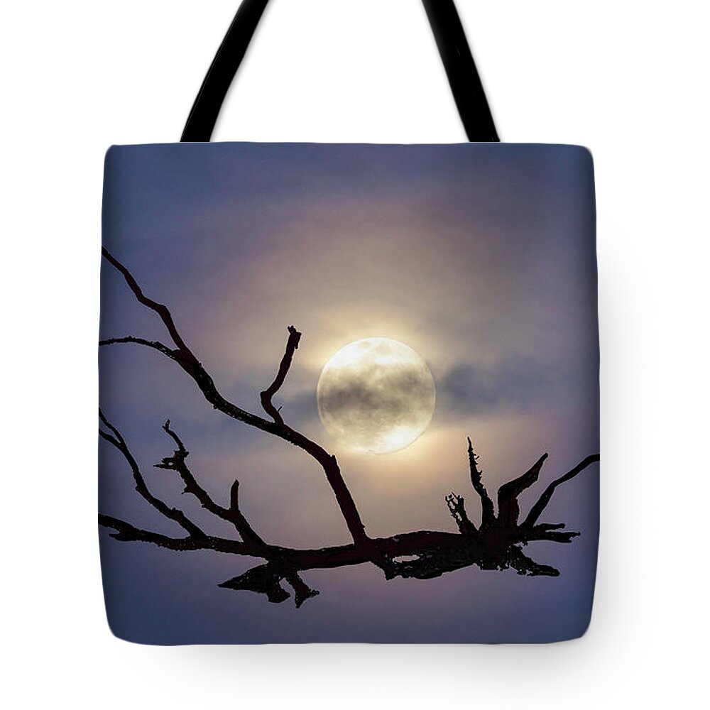 Moon. Tree Silhouette Tote Bag featuring the photograph Skeleton Trees of Boneyard Beach 06 by Jim Dollar