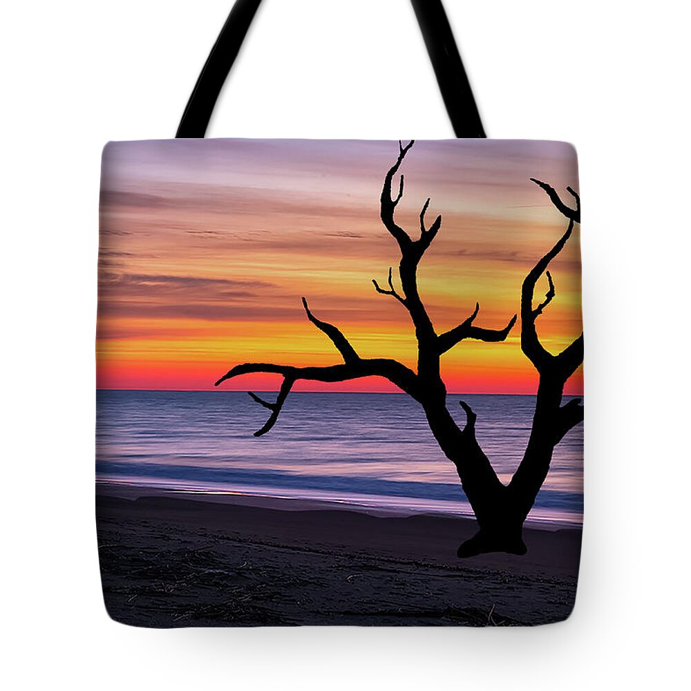 Trees Tote Bag featuring the photograph Skeleton Trees of Graveyard Beach 03 by Jim Dollar