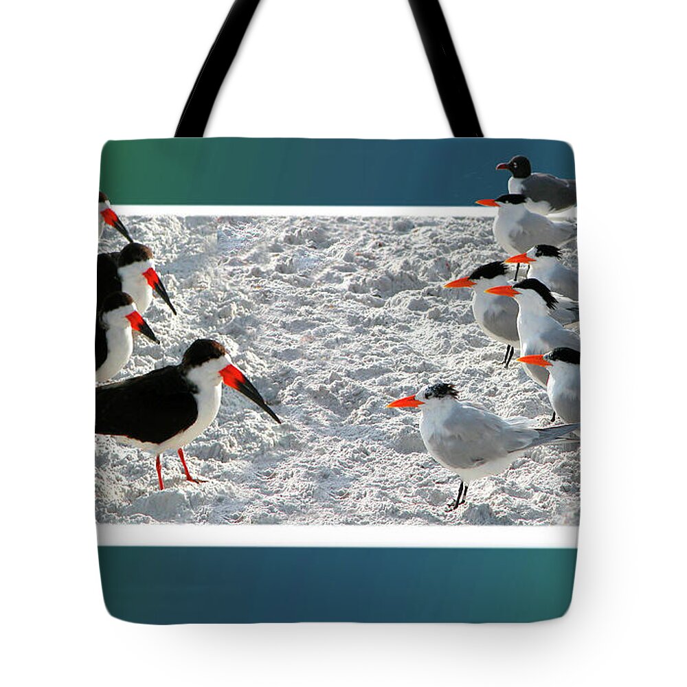 Fauna Tote Bag featuring the digital art Skimmers vs Terns by Mariarosa Rockefeller