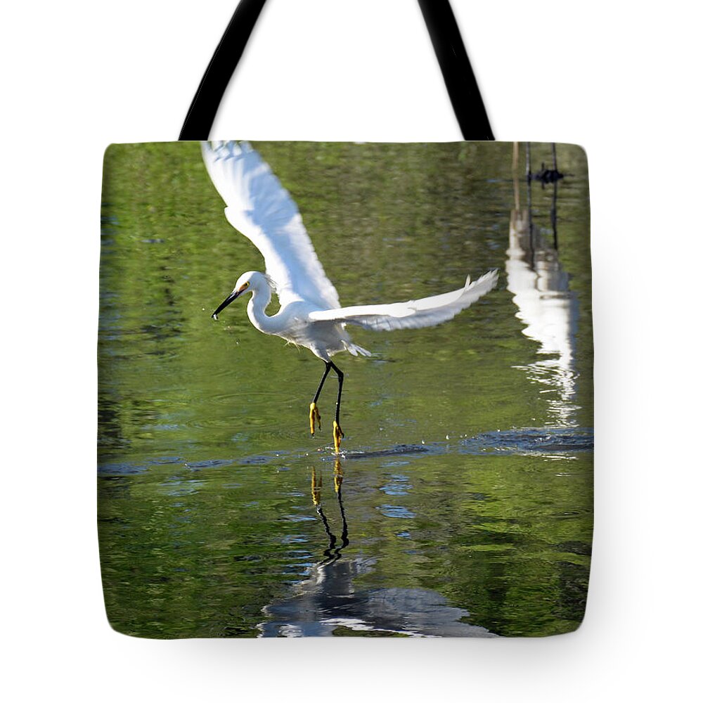 Birds Tote Bag featuring the photograph Skimming Along by Bruce Gourley