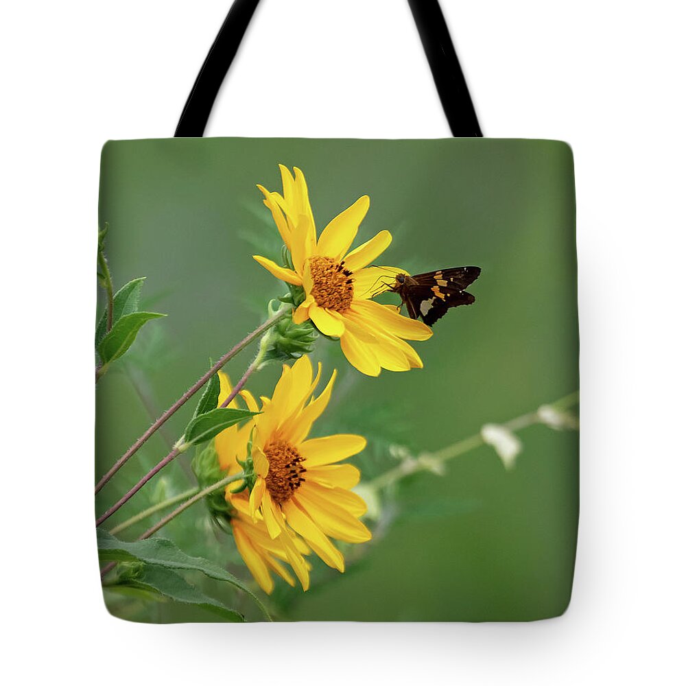 Sunflower Tote Bag featuring the photograph Skipper on Yellow Flowers by Mindy Musick King