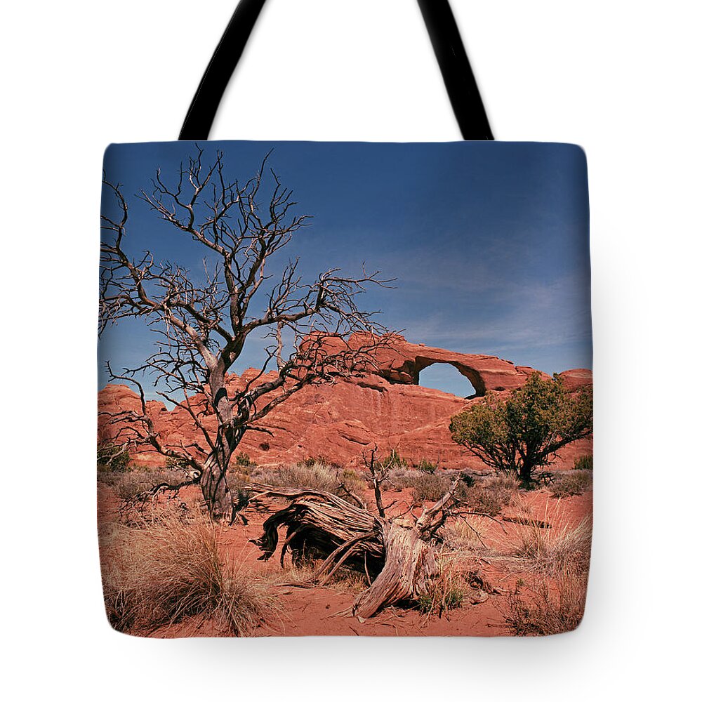Tom Daniel Tote Bag featuring the photograph Skyline Arch by Tom Daniel