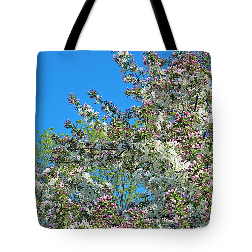 Dexter Tote Bag featuring the photograph Skyward Glimpse of Spring 1 by Jill Love