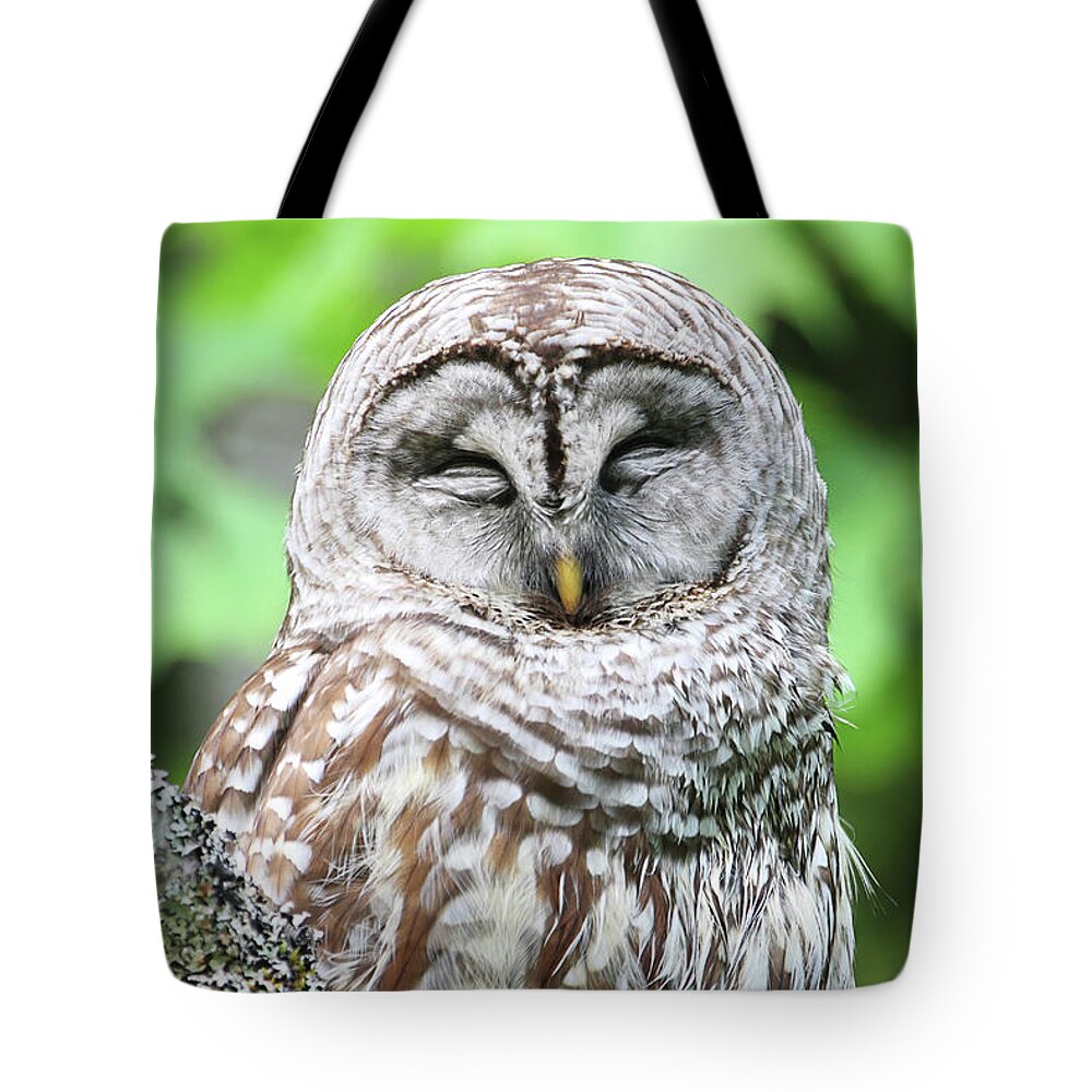 Barred Owl Tote Bag featuring the photograph Sleeping Owl - Vertical by Peggy Collins