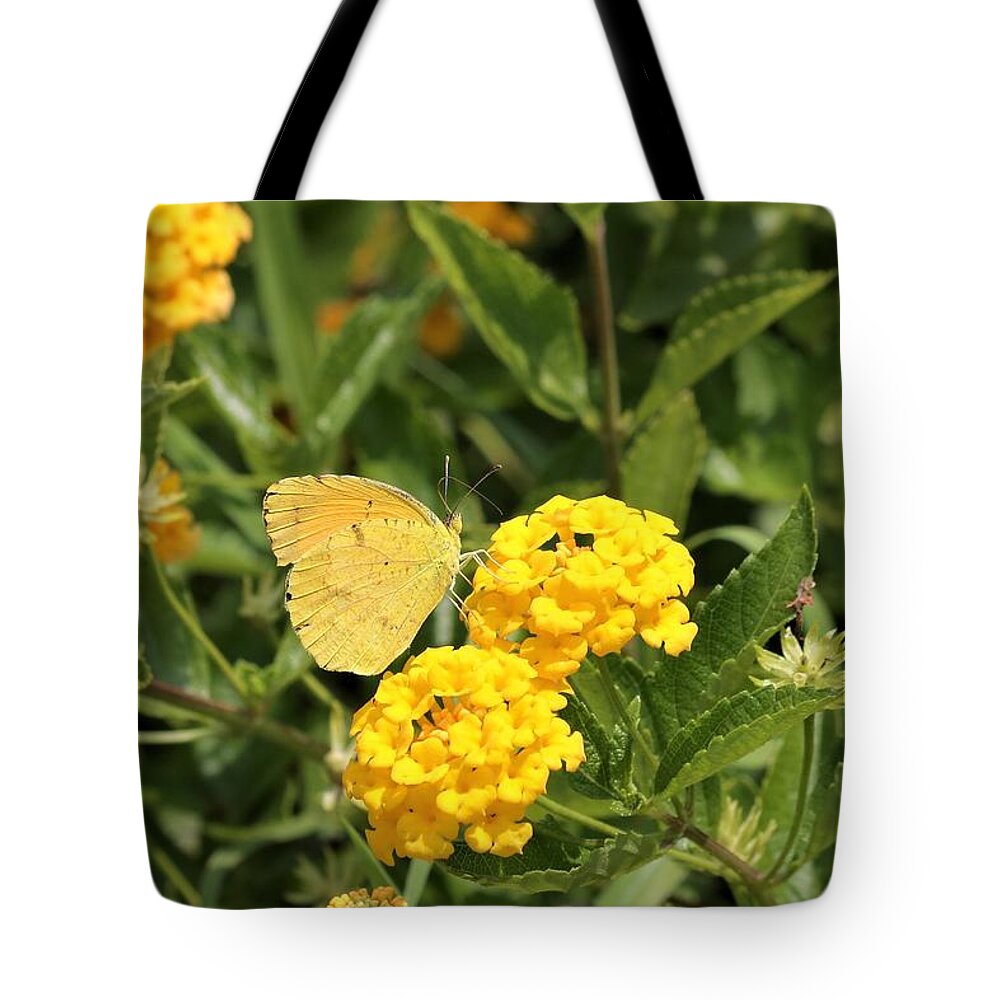 Nature Tote Bag featuring the photograph Sleepy Orange Butterfly on Yellow Lantana by Sheila Brown