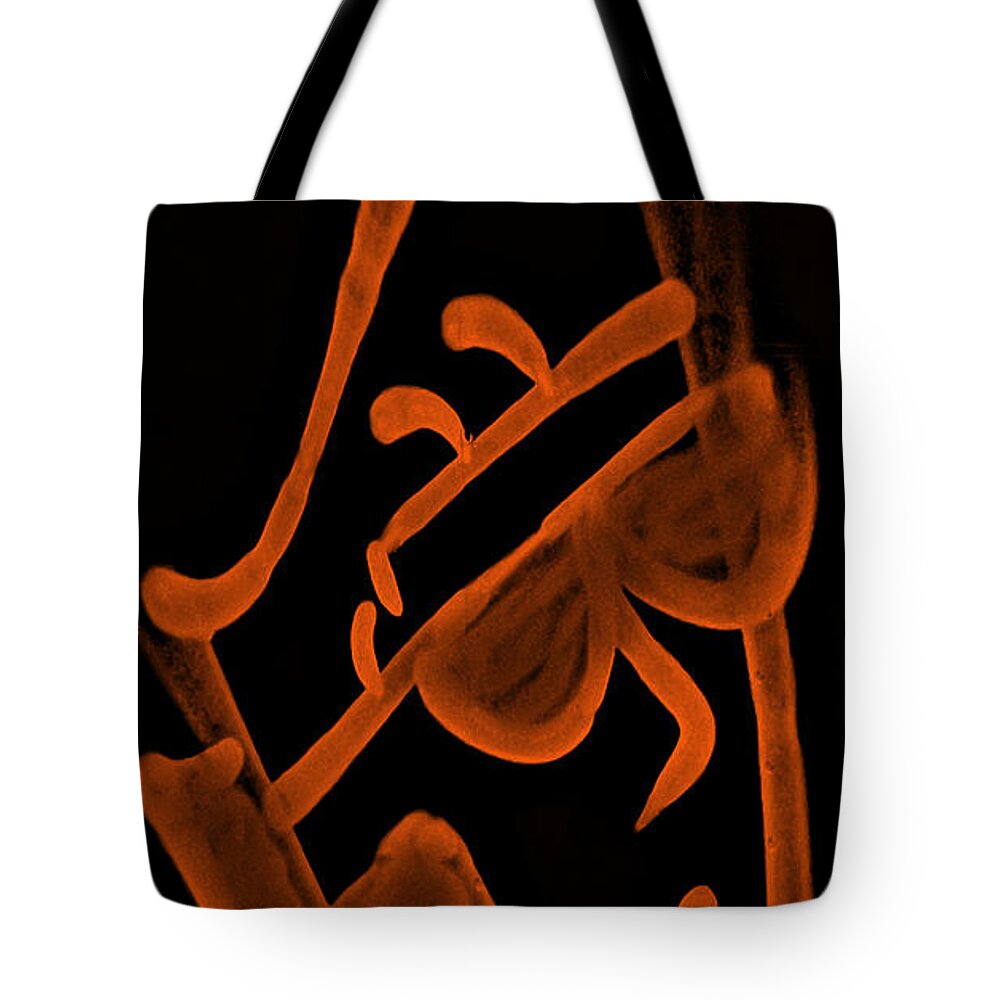 Nyc Tote Bag featuring the photograph Slim Dapper Orange by Rob Hans