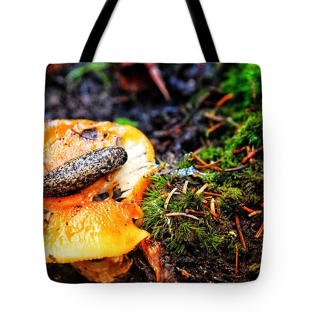 Photo Tote Bag featuring the photograph Slug on Mushroom by Evan Foster