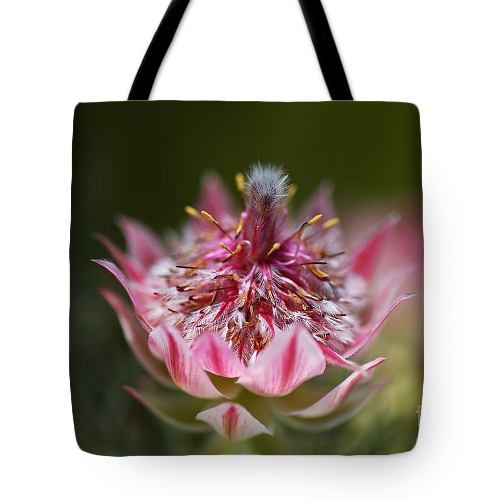 Protea Tote Bag featuring the photograph Small Pink Protea by Joy Watson
