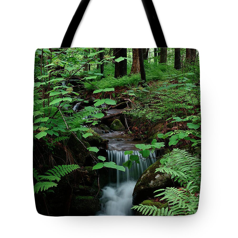 Spring Tote Bag featuring the photograph Small stream and ferns by Kevin Shields