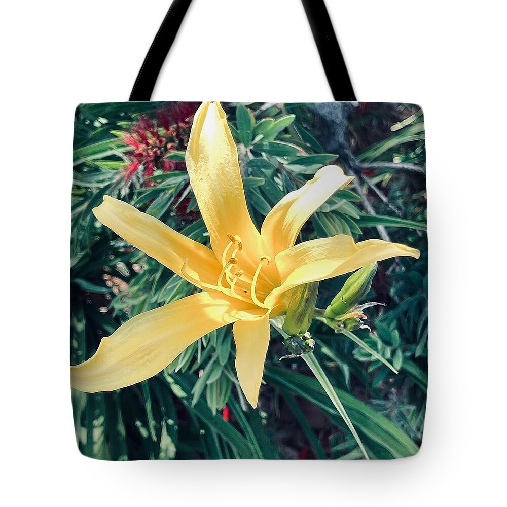Day Lilly Yellow Green Leaves Red Black Pistils Brown Tote Bag featuring the digital art SmallDay Lilly by Kathleen Boyles