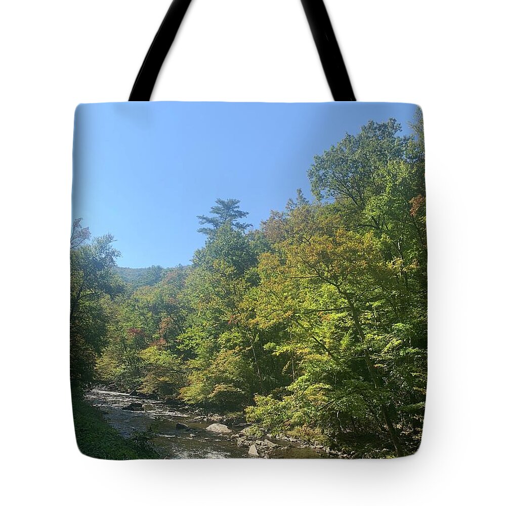 Photography Tote Bag featuring the photograph Smokey Mountain Nature by Lisa White