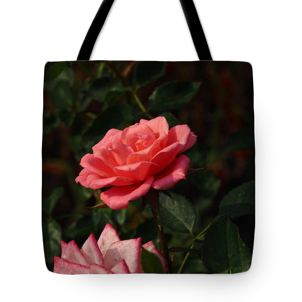 Botanical Tote Bag featuring the photograph Smokey Pink Beauty by Richard Thomas