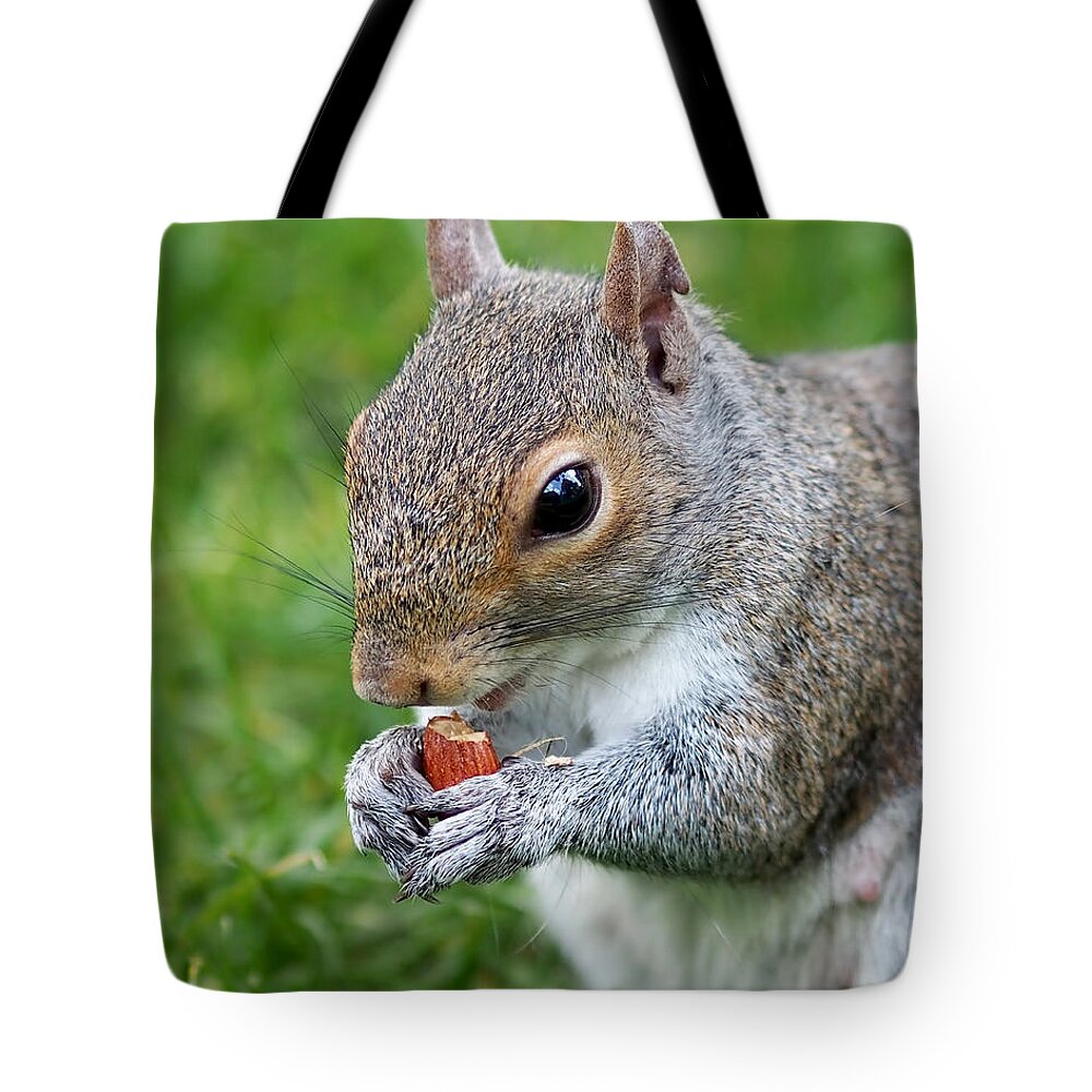 Squirrel Tote Bag featuring the photograph Snack Break for Squirrel by Rona Black