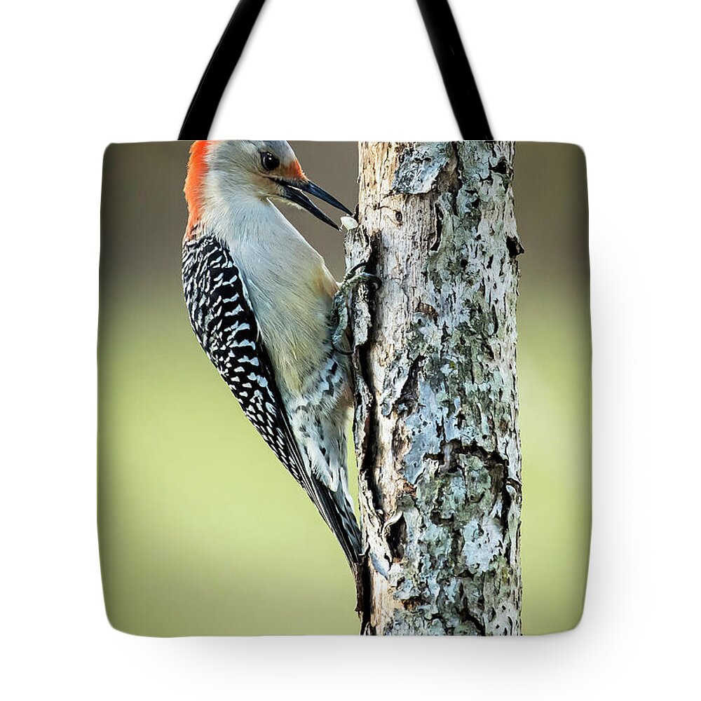 Woodpeckers Tote Bag featuring the photograph Snack Time by Jamie Pattison