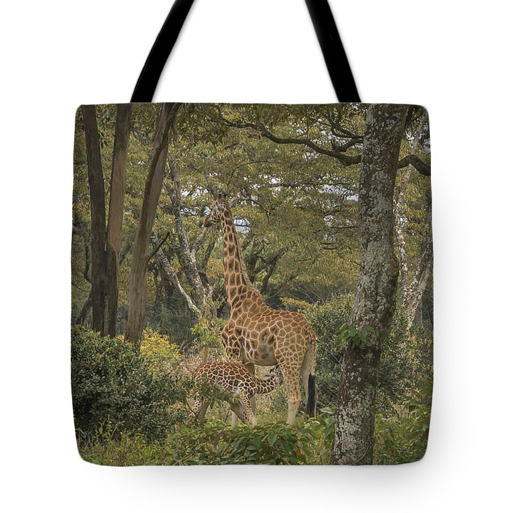Africa Tote Bag featuring the photograph Snack Time by Laura Hedien