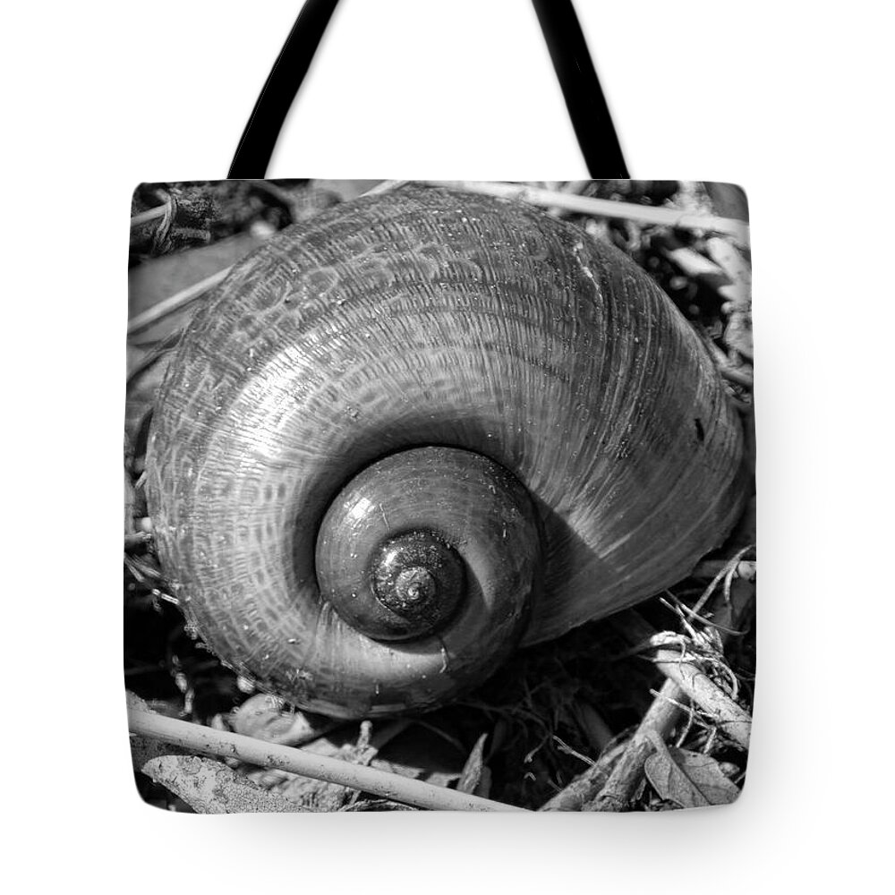 Shell Tote Bag featuring the photograph Snail Shell by Robert Wilder Jr