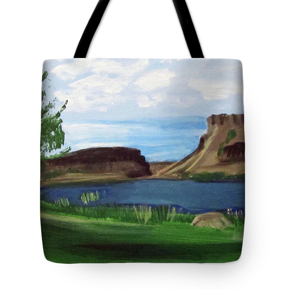 River Tote Bag featuring the painting Snake River Murphy Idaho by Linda Feinberg