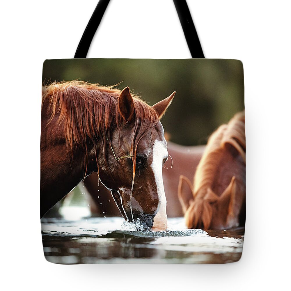 Salt River Wild Horses Tote Bag featuring the photograph Snorkel Time by Shannon Hastings
