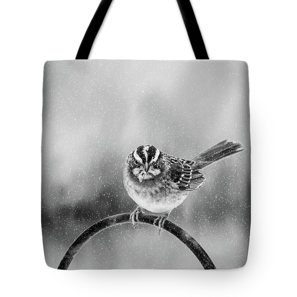 Bird Tote Bag featuring the photograph Snow Again by Cathy Kovarik