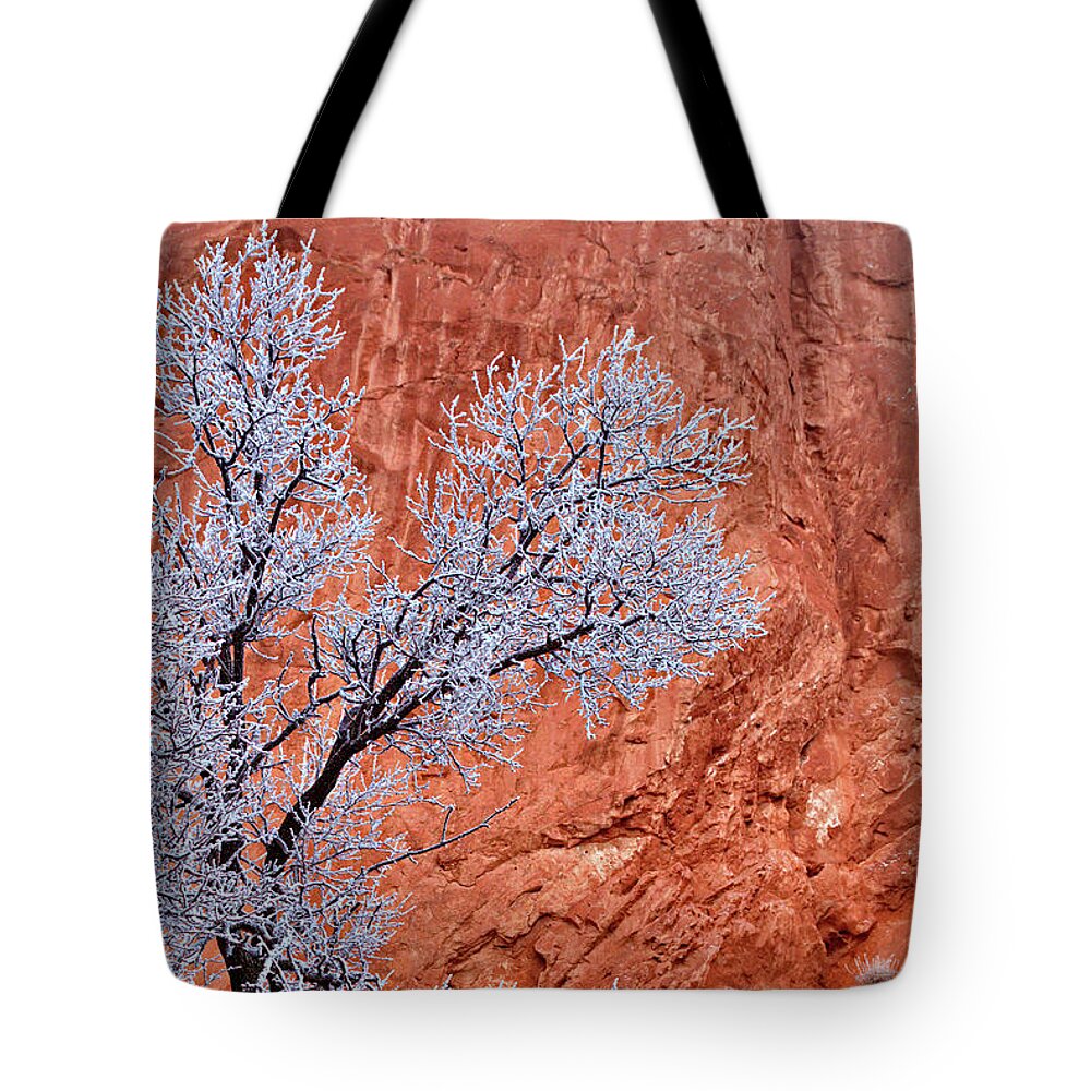 Red Rocks Tote Bag featuring the photograph Snow and Red Rocks by Bob Falcone