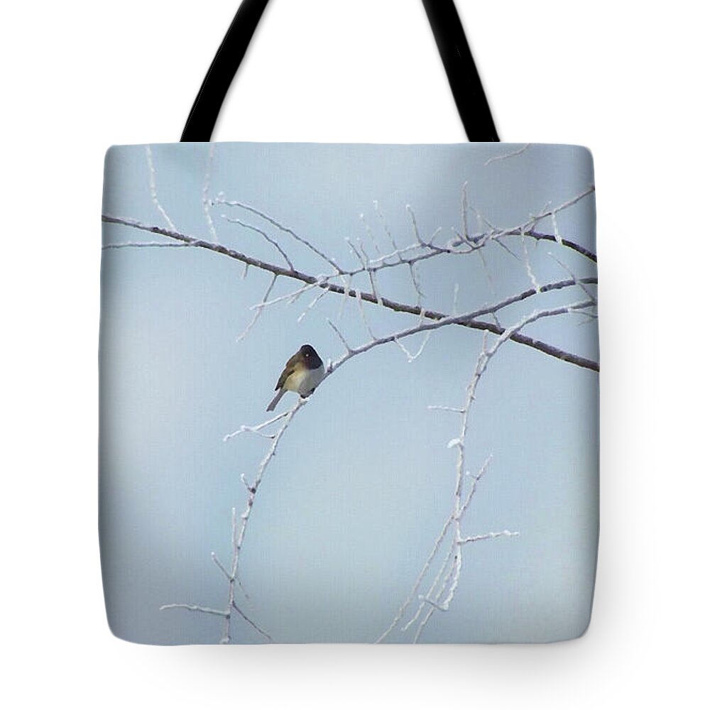 Winter Tote Bag featuring the mixed media Snow bird, a finch in winter by Shelli Fitzpatrick