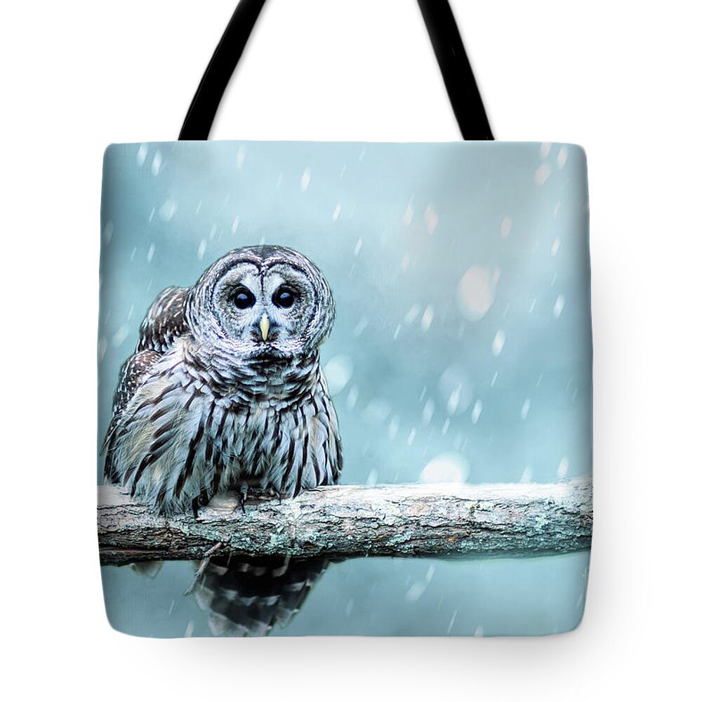 Bird Tote Bag featuring the photograph Snow Bound Barred Owl by Ed Taylor